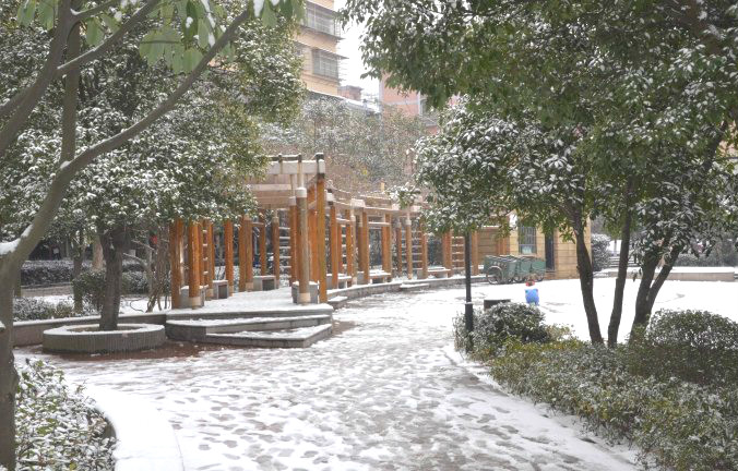 初雪逢周末，多個項目及時展開清理工作